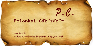 Polonkai Cézár névjegykártya